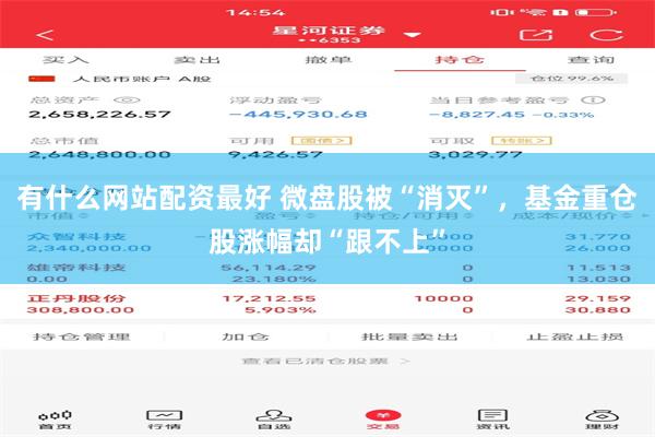 有什么网站配资最好 微盘股被“消灭”，基金重仓股涨幅却“跟不上”